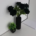 Apartment Leni's